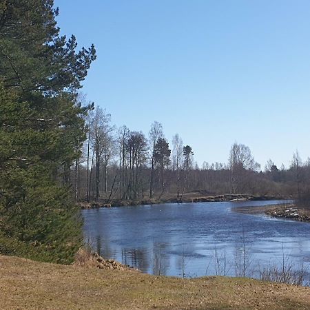 Rannapungerja puhkemaja Villa Bagian luar foto