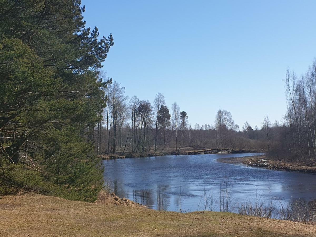 Rannapungerja puhkemaja Villa Bagian luar foto